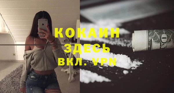 ГАЛЛЮЦИНОГЕННЫЕ ГРИБЫ Вязьма