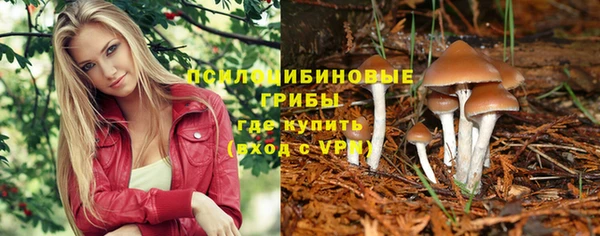 ГАЛЛЮЦИНОГЕННЫЕ ГРИБЫ Вязьма