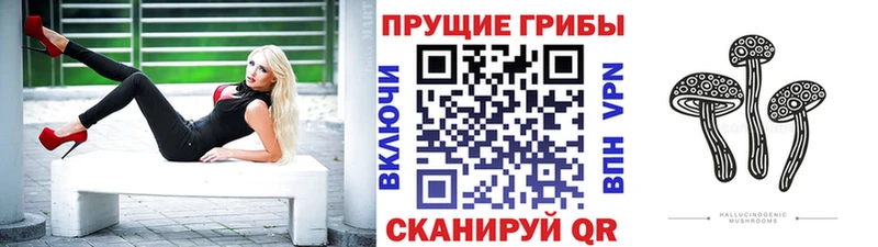 Галлюциногенные грибы Psilocybine cubensis  купить  сайты  hydra как зайти  Лысьва 